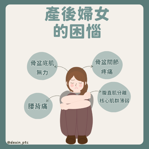 高雄產後物理治療｜骨盆與腹直肌