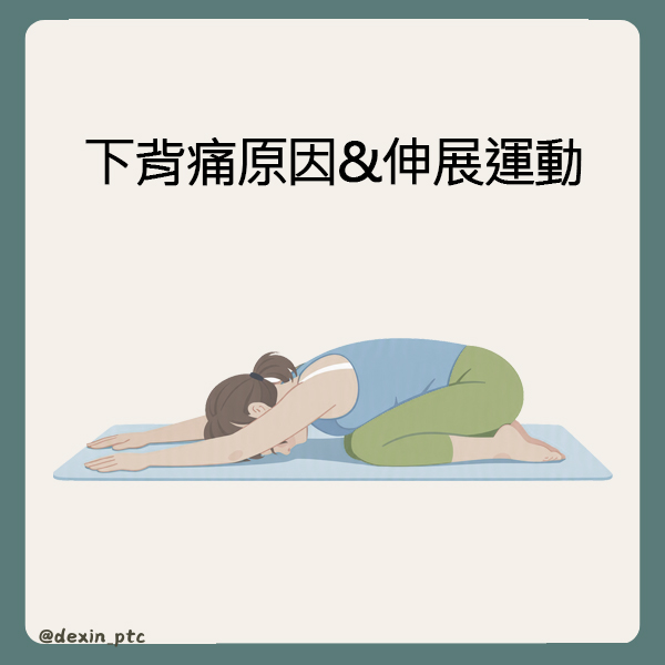 高雄背痛物理治療推薦｜下背痛伸展運動、腰痠背痛與核心訓練完整解析
